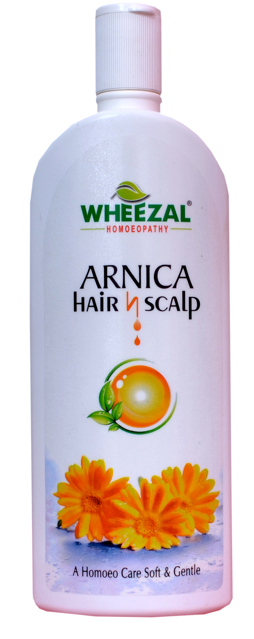 SBL ARNICA MONTANA HAIR OIL 200 ML Hair Oil - Price in India, Buy SBL  ARNICA MONTANA HAIR OIL 200 ML Hair Oil Online In India, Reviews, Ratings &  Features | Flipkart.com